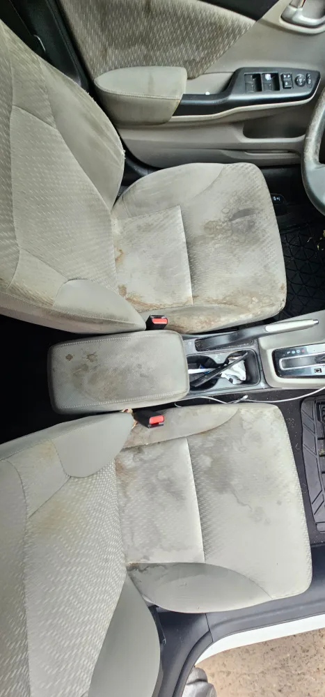 car detailing Scarborough/Vaughn image indicator(2)