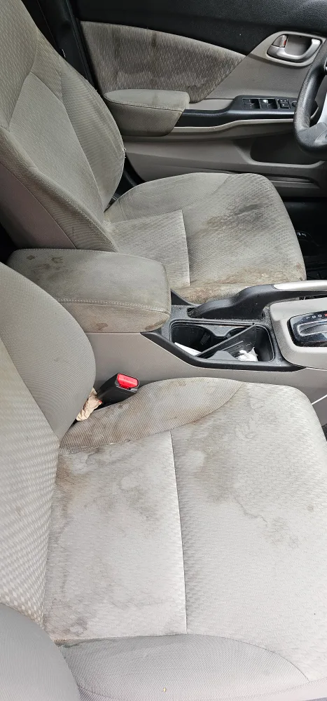 car detailing Scarborough/Vaughn image indicator(3)