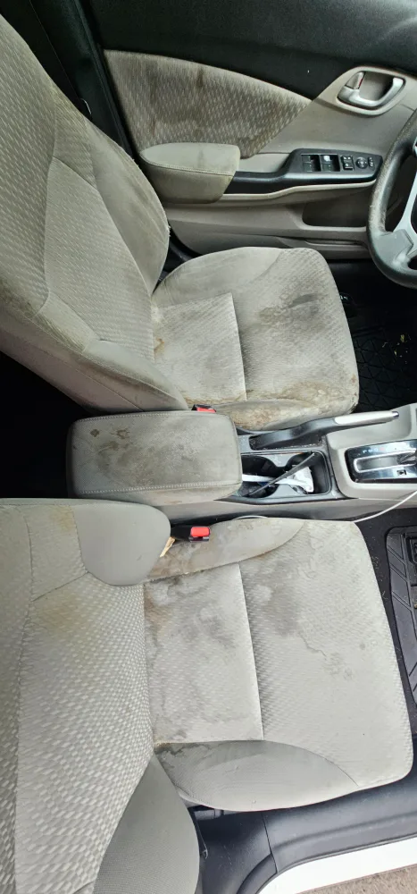 car detailing Scarborough/Vaughn image indicator(4)