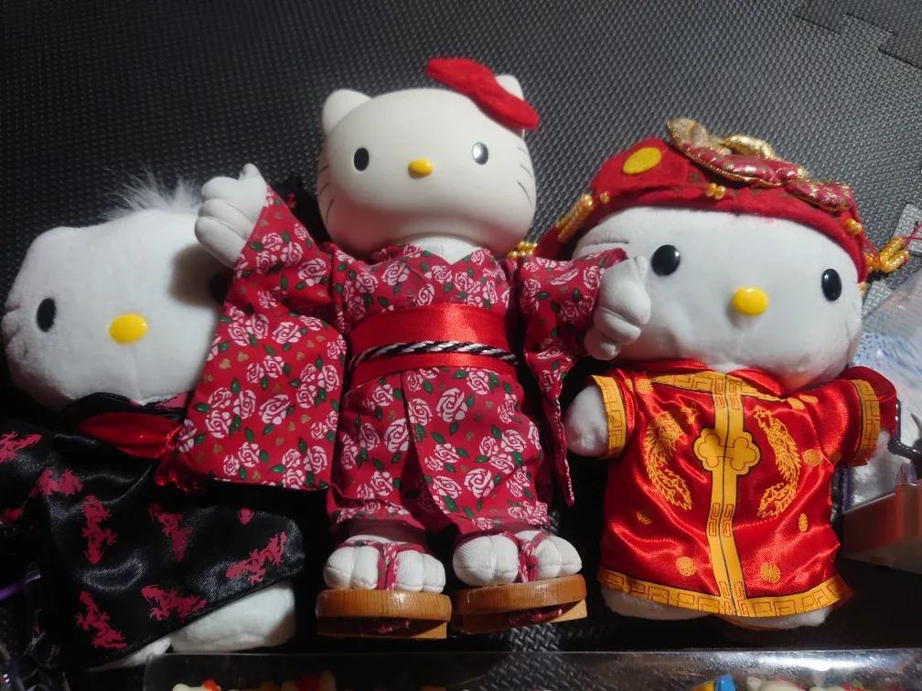 Hello Kitty Collection image indicator(3)