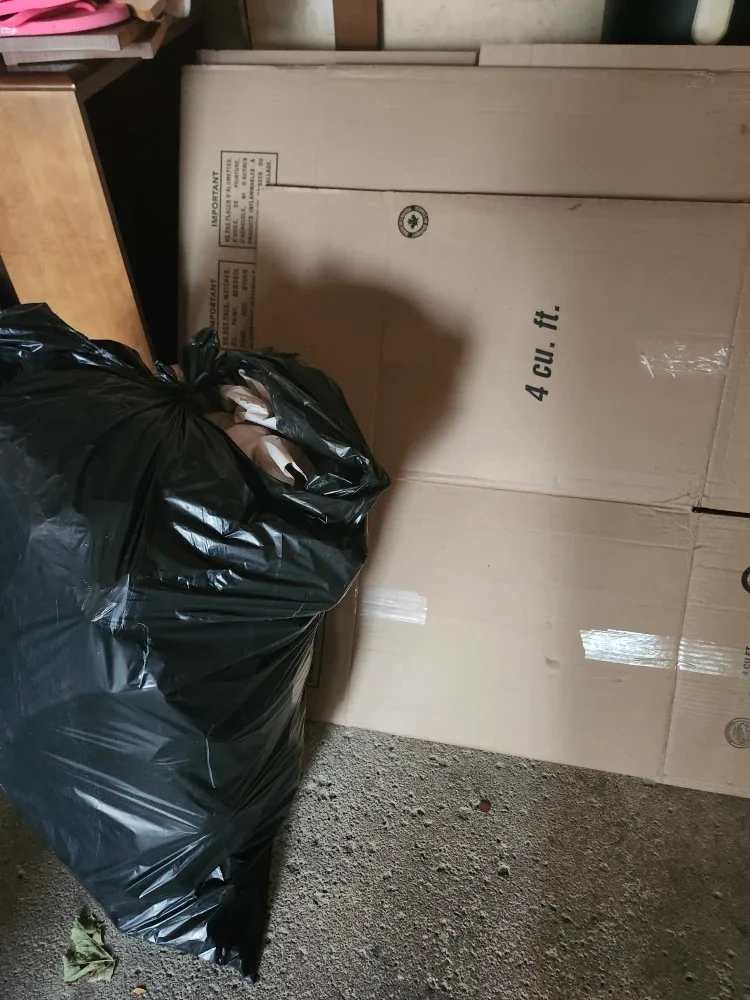 Cardboard Boxes - 3 bags Packing Paper