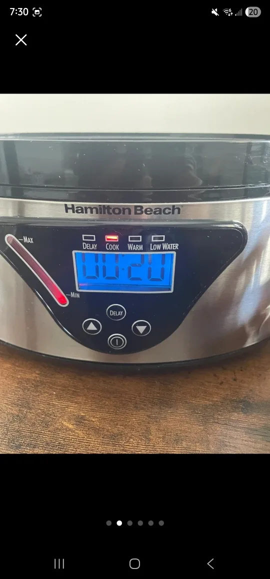Hamilton Beach Digital Steamer image indicator(2)
