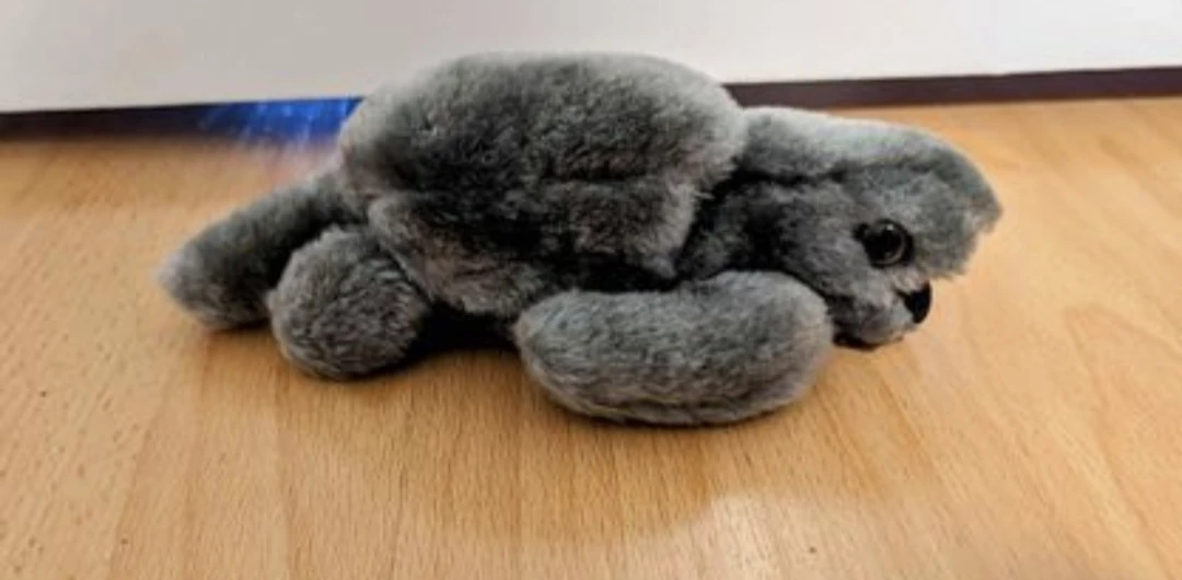 Small Plush Sea Turtle Toy
