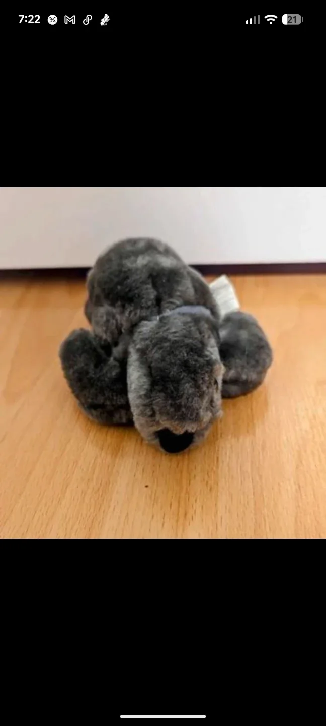 Small Plush Sea Turtle Toy image indicator(2)