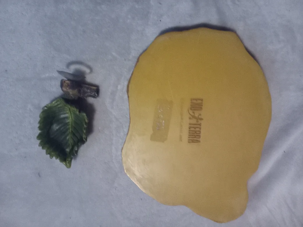 Water dishes image indicator(2)