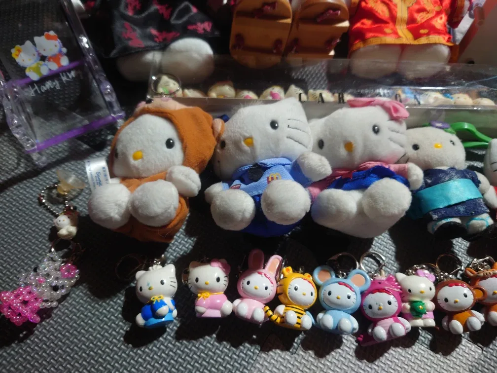 Hello Kitty Collection image indicator(4)
