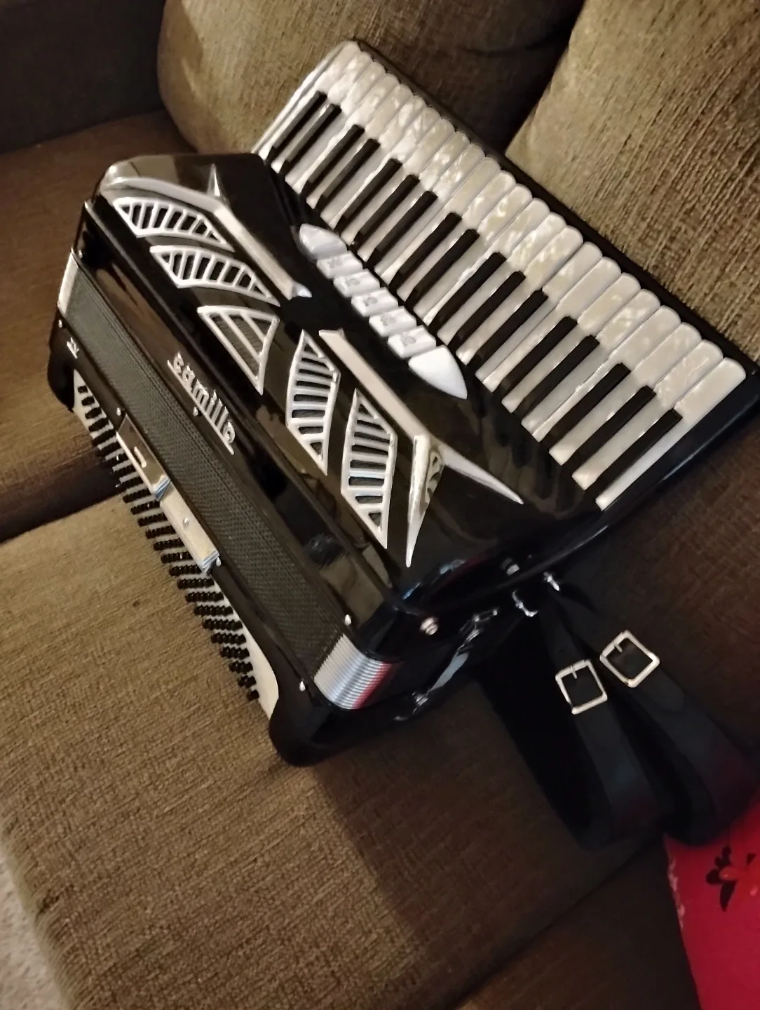Mid-sized 🪗 Accordion