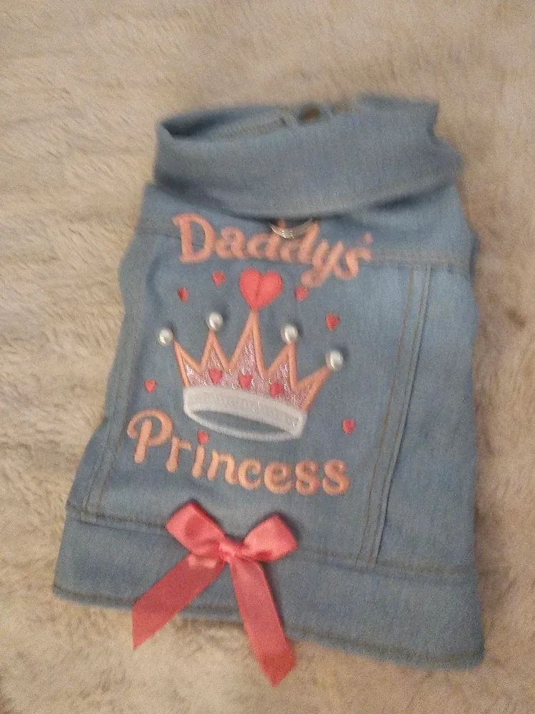 Dog clothes and dog carrier