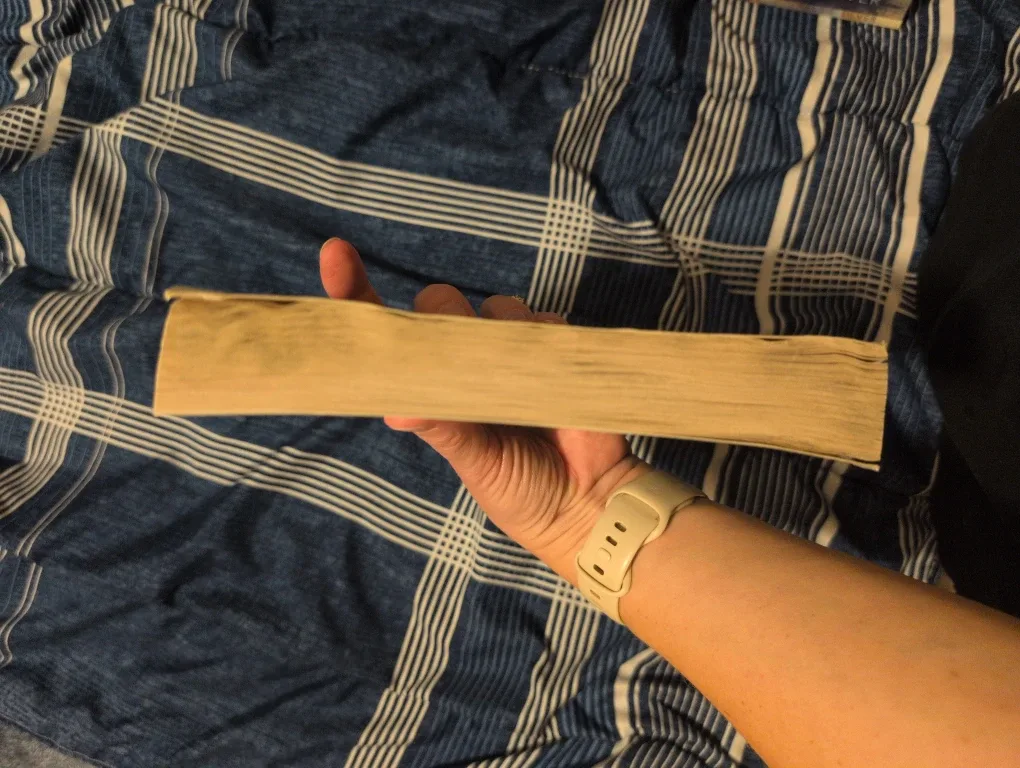 Elsie Silver Books - Runaway Series image indicator(3)