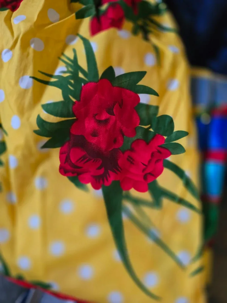 Rainbow Ribbon Skirt