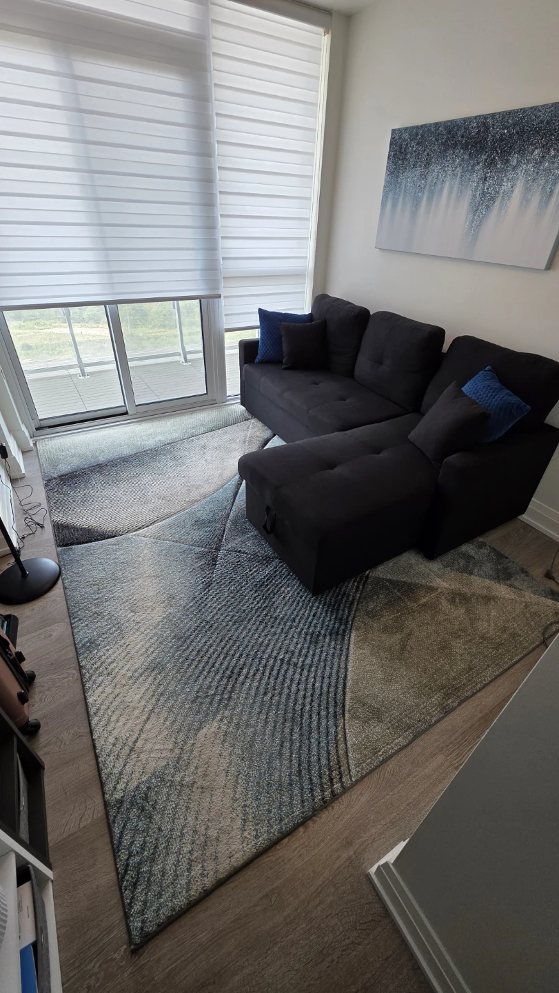 Area Rug – Great Condition