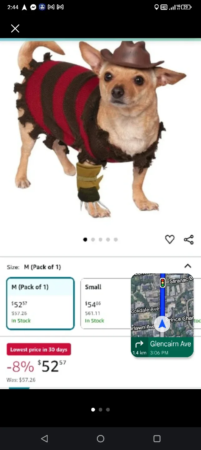 A Nightmare on Elm Street Freddy Krueger Dog Costume - Size M thumbnail