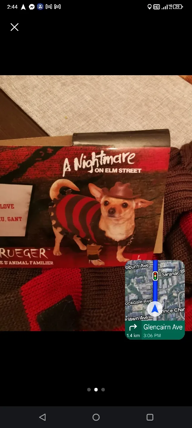 A Nightmare on Elm Street Freddy Krueger Dog Costume - Size M image indicator(3)