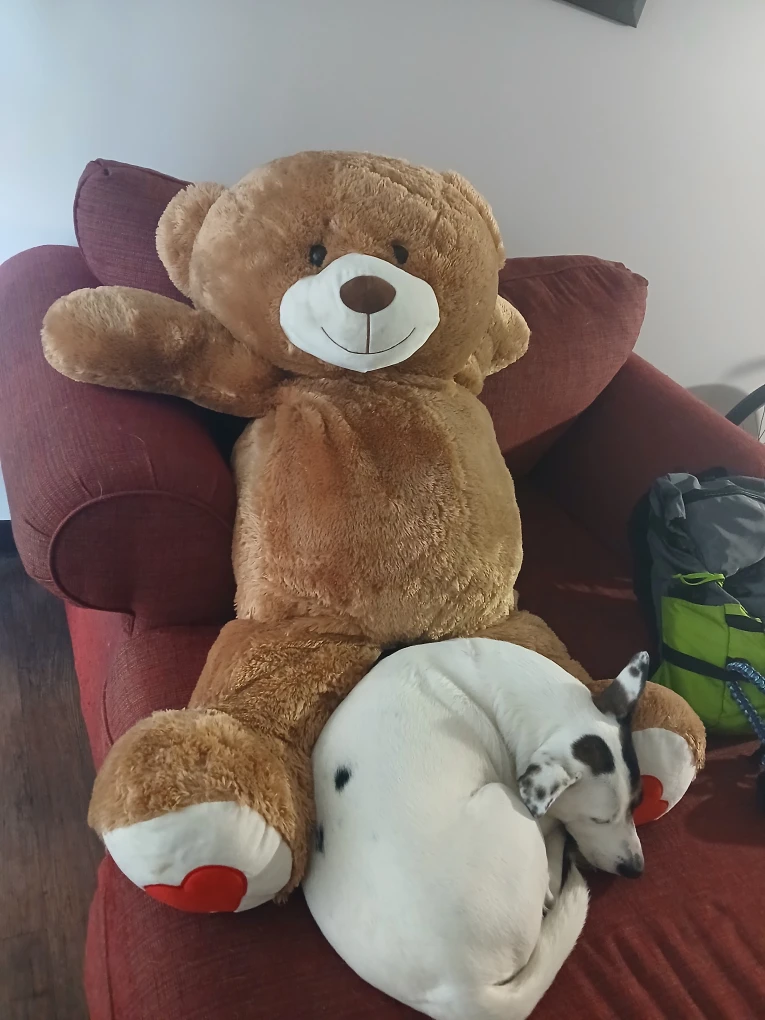 Giant Brown Teddy Bear - photo 5