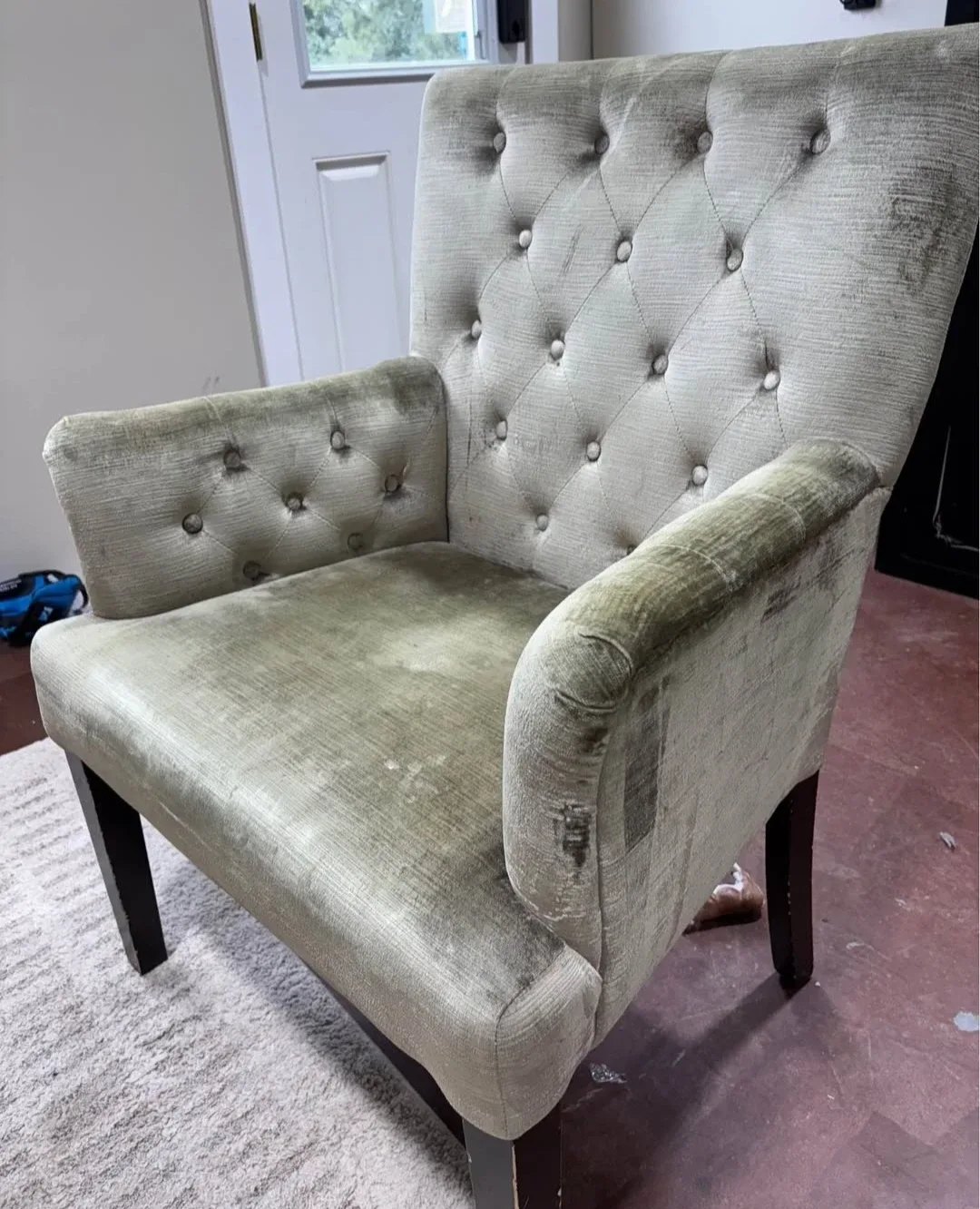 6 gold velvet chairs image indicator(3)