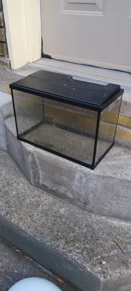 Small Fish Tank with Lid
