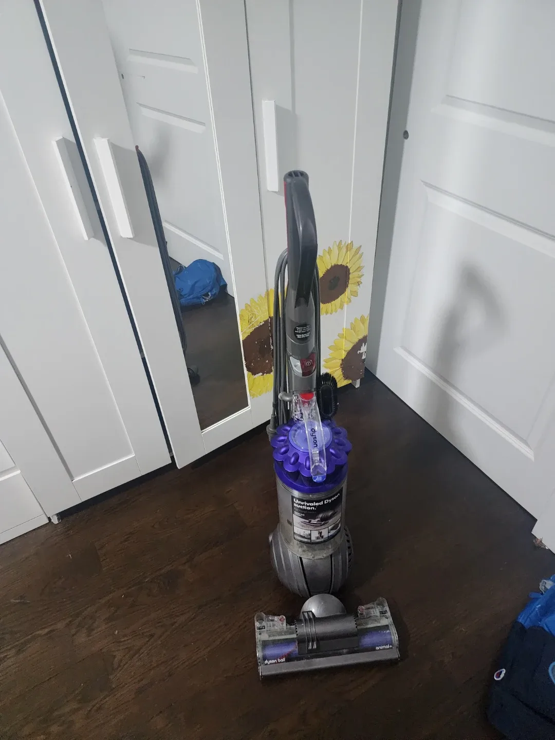 Dyson Ball Animal+ Upright Vacuum image indicator(2)