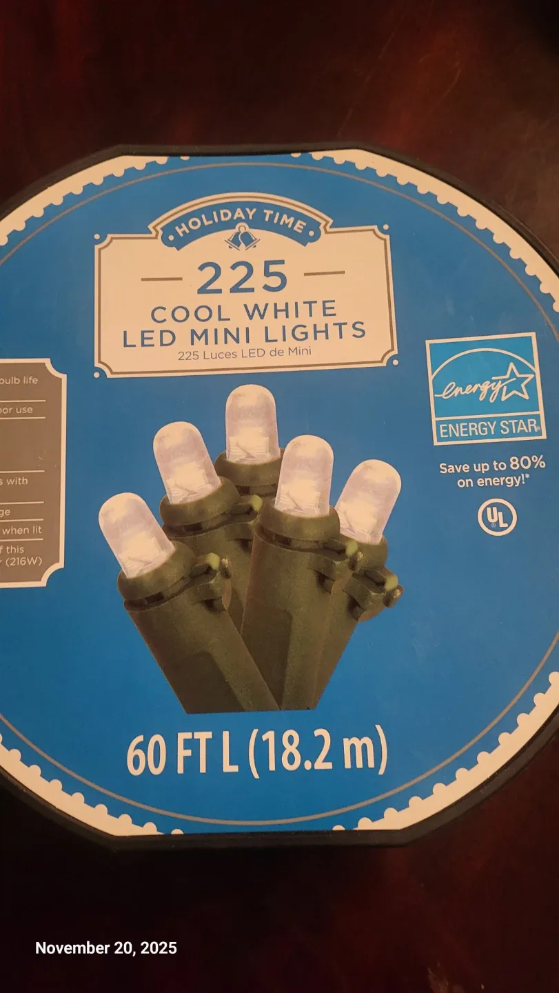 Holiday Time 225 Cool White LED Mini Lights - 60 ft