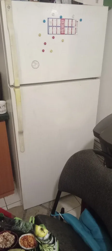 GE White Refrigerator image indicator(2)