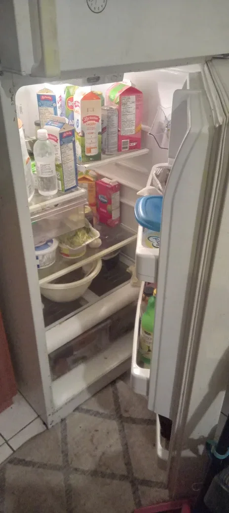 GE White Refrigerator image indicator(3)