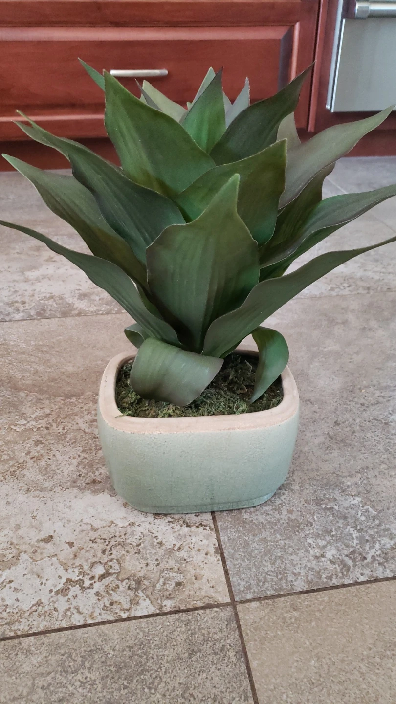 Artificial Plants in Ceramic Vases.$10 each - photo 4