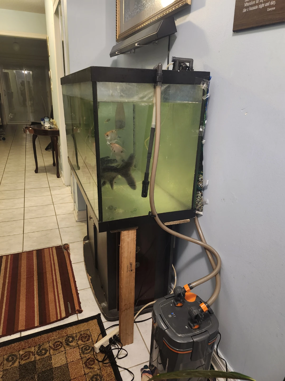 Fish Tank with Stand