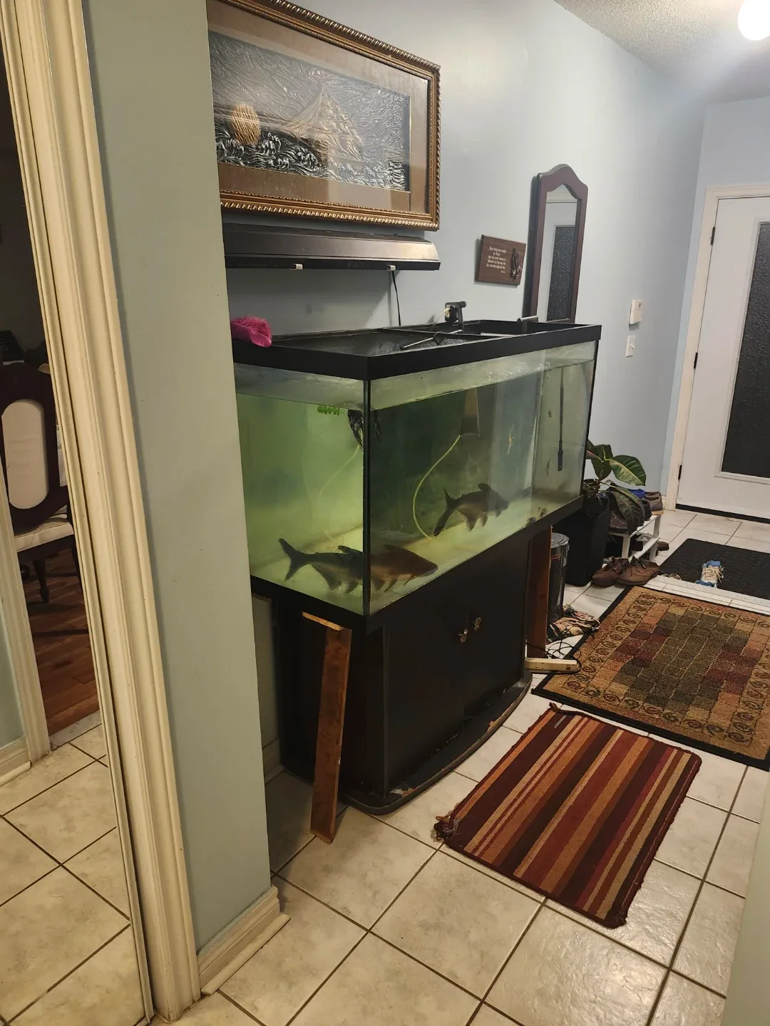 Fish Tank with Stand image indicator(2)