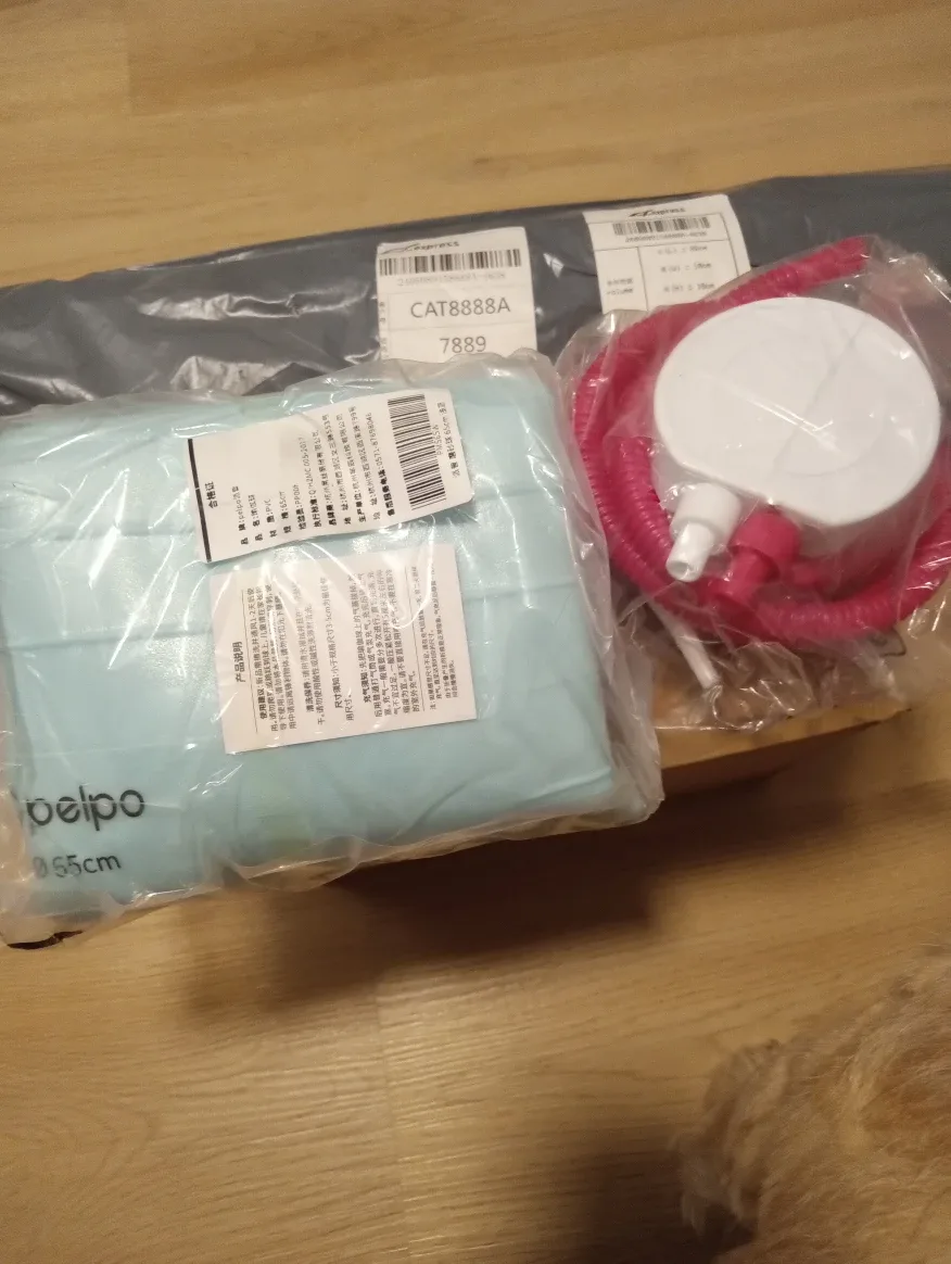 Branch new Pelpo Pool with Mat $30