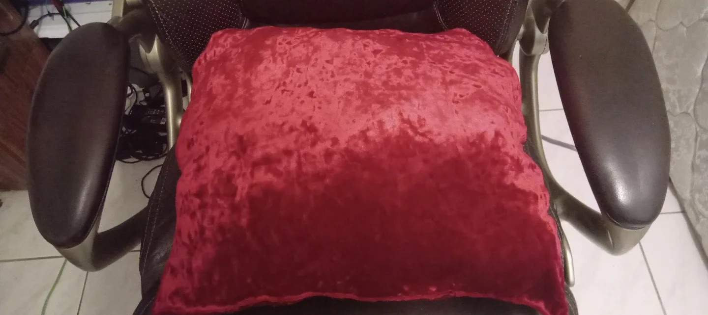 Red Velvet Pillow
