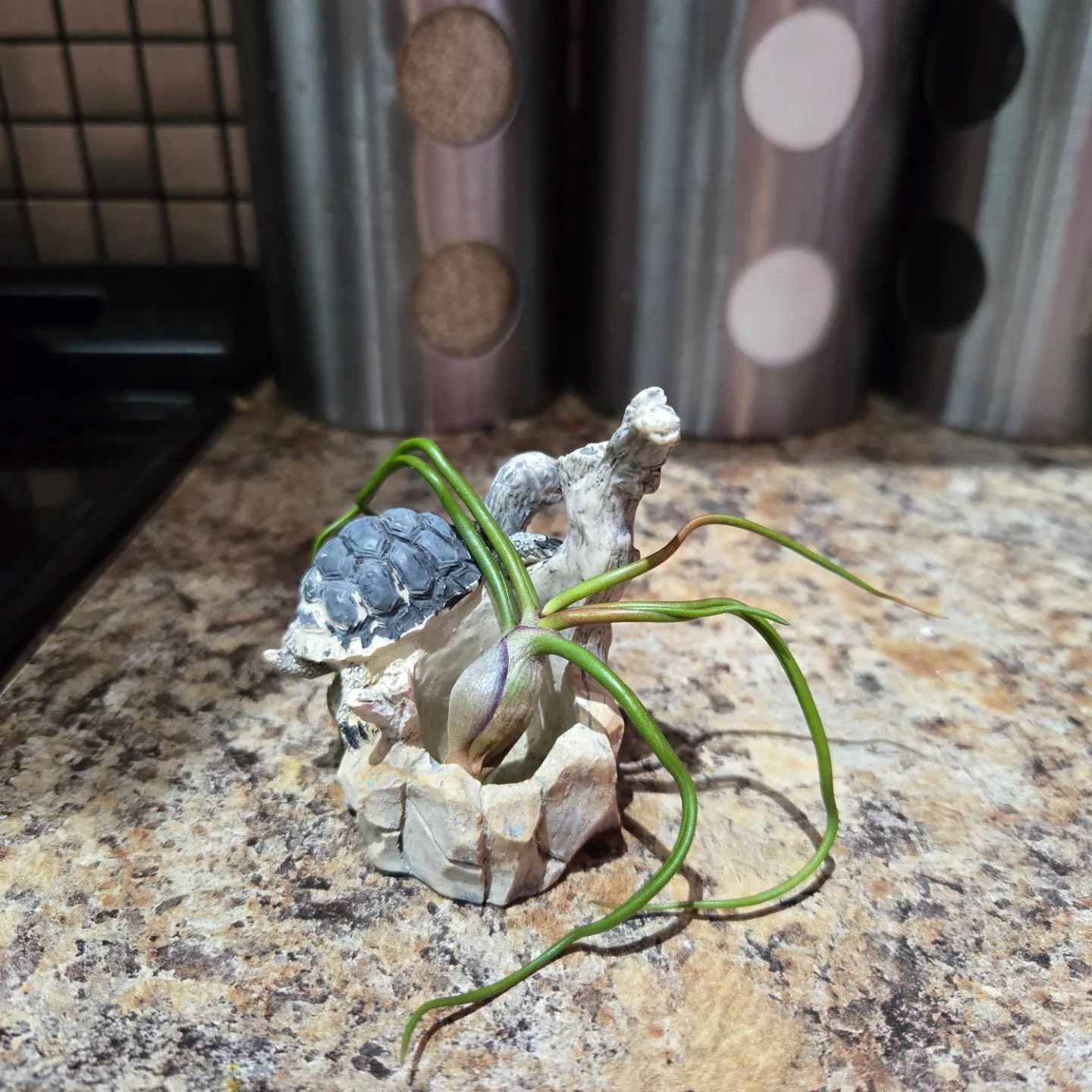 Small Turtle Figurine image indicator(2)