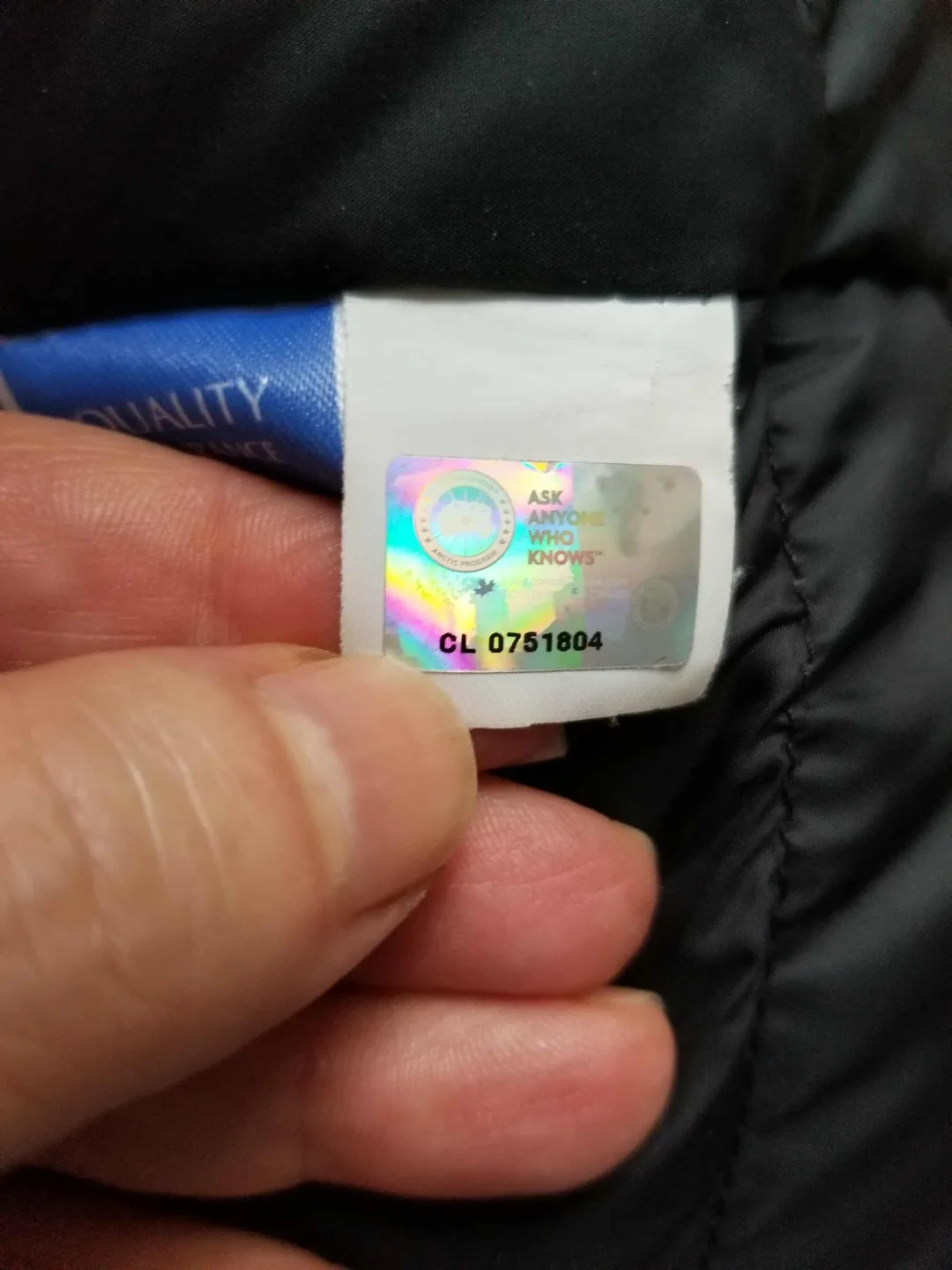 Canada Goose Parka - Purple Kensington Parka  Style #2506L image indicator(2)