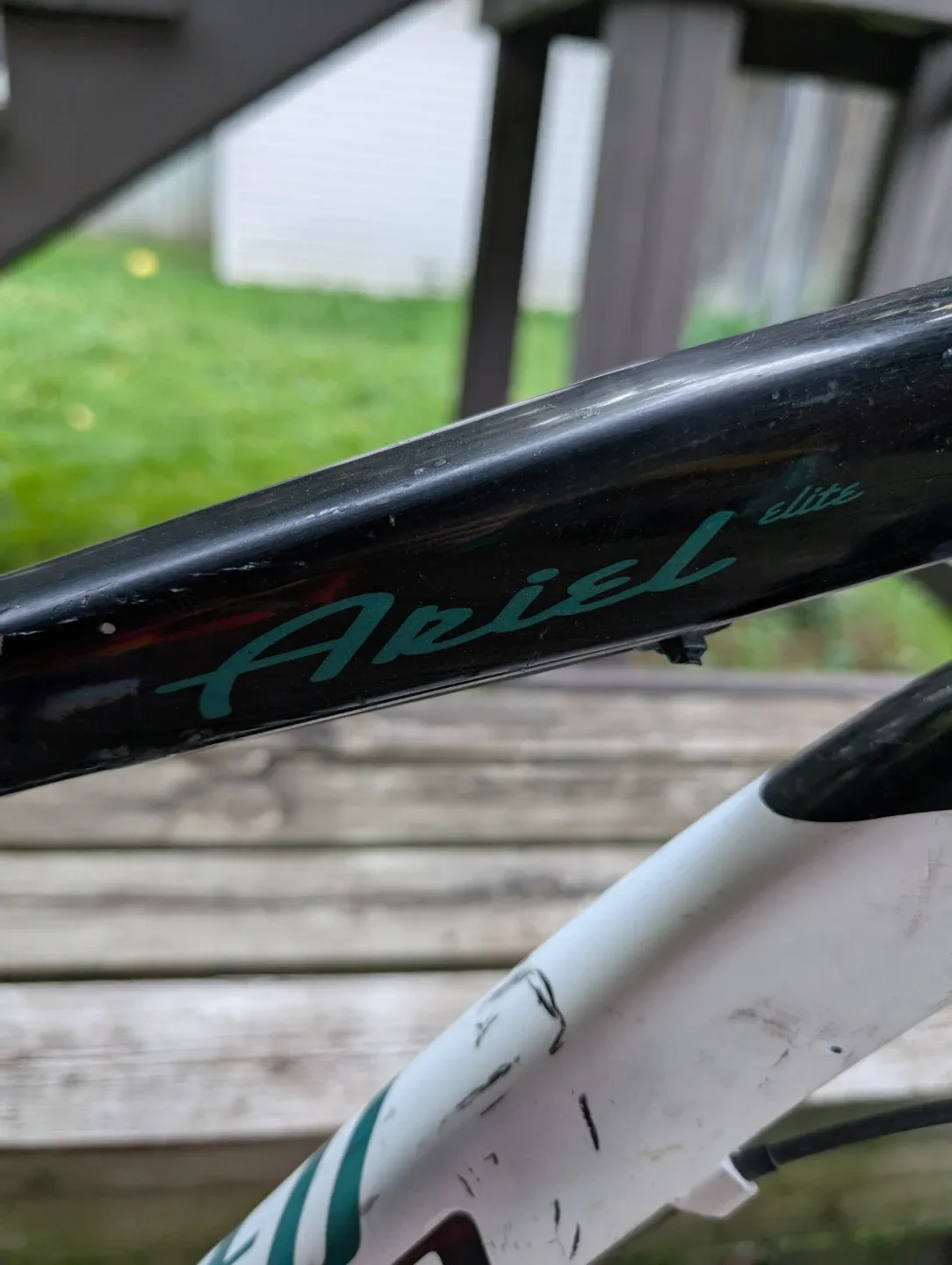 Specialized Ariel Elite Bike image indicator(2)