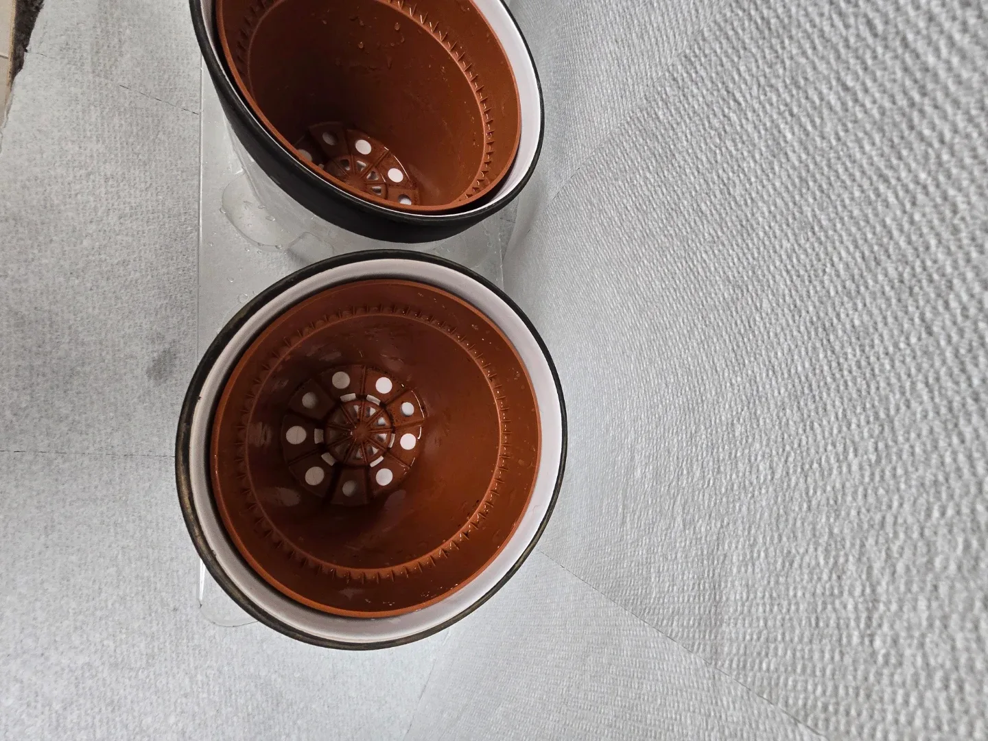 Potted Hoya Plant with set of 2 empty  White Ceramic Pot image indicator(5)