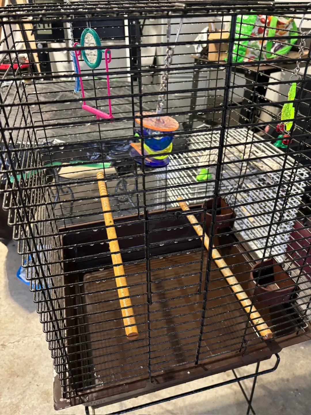 Bird Cage with Accessories image indicator(2)