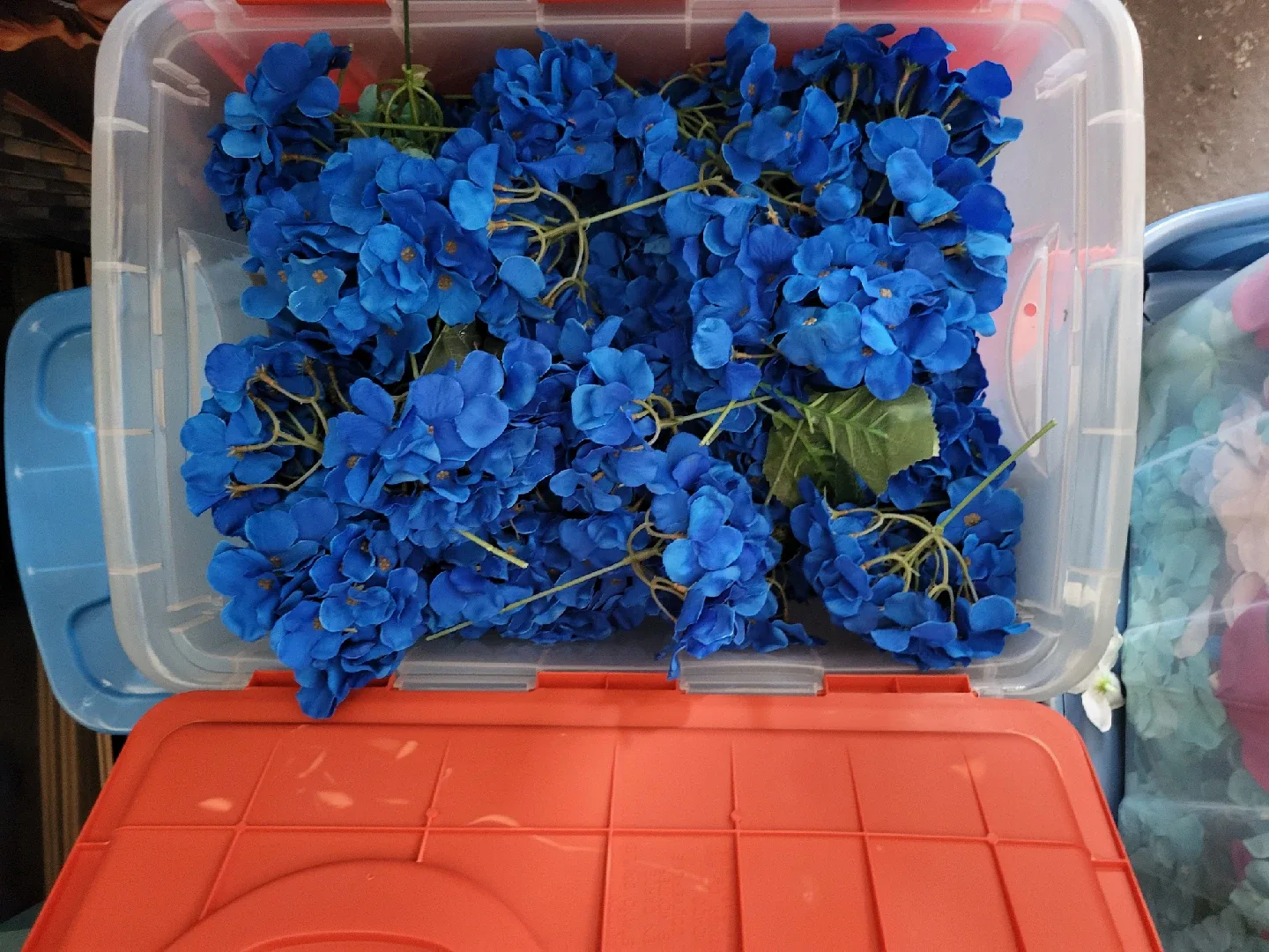 Blue Hydrangea Flowers image indicator(2)