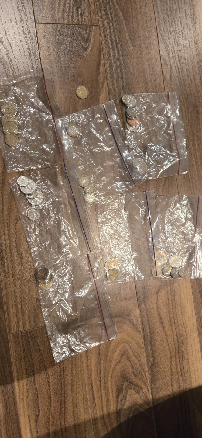 Assorted Coins in Plastic Bags