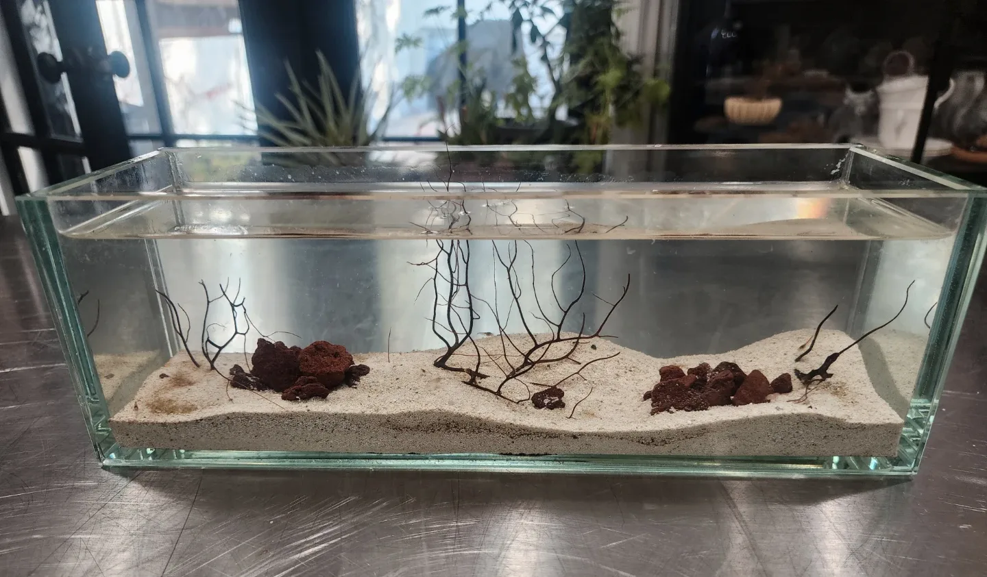 Glass Aquarium with Sand and Lava Rock image indicator(2)