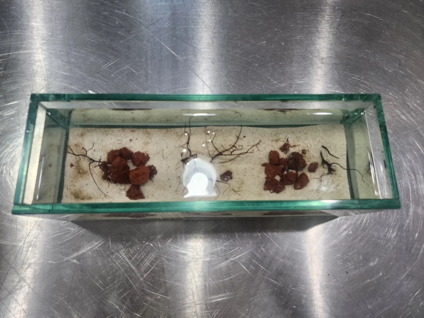 Glass Aquarium with Sand and Lava Rock image indicator(3)