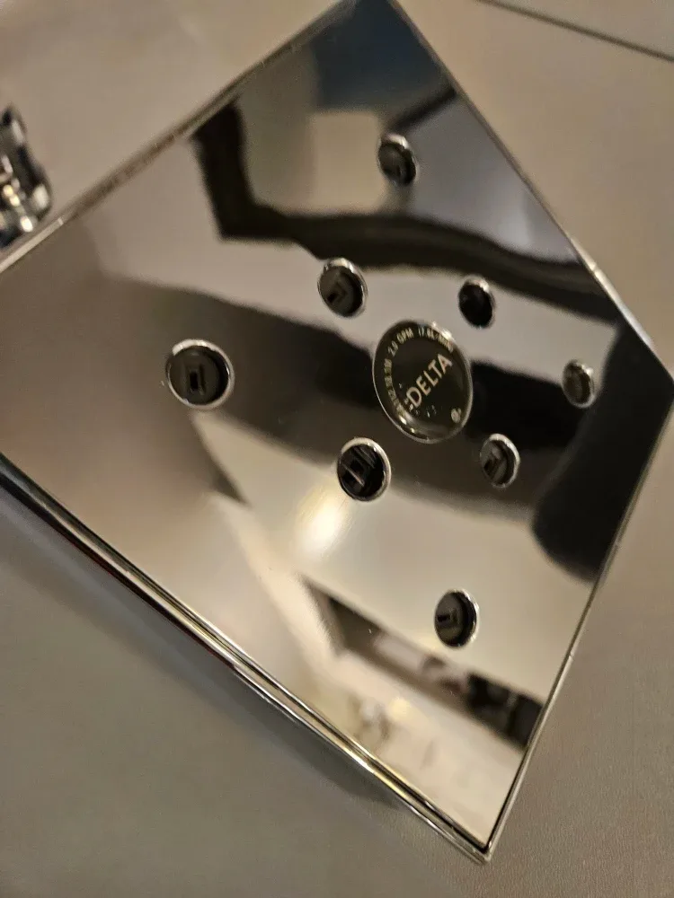 Delta Shower Head
