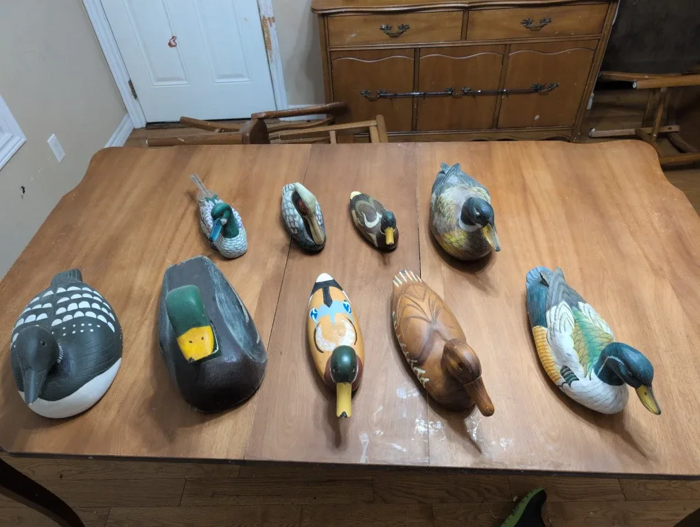 Duck Decoys