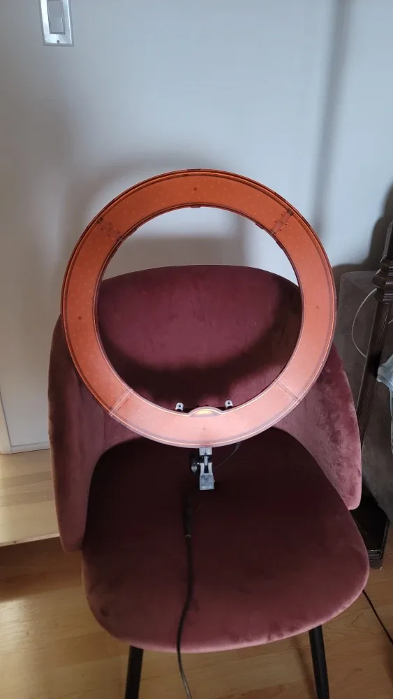 Neewer Ring Light with Bag But no stand