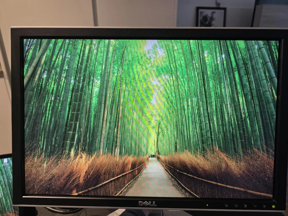 Dell Professional 22" LCD Monitor