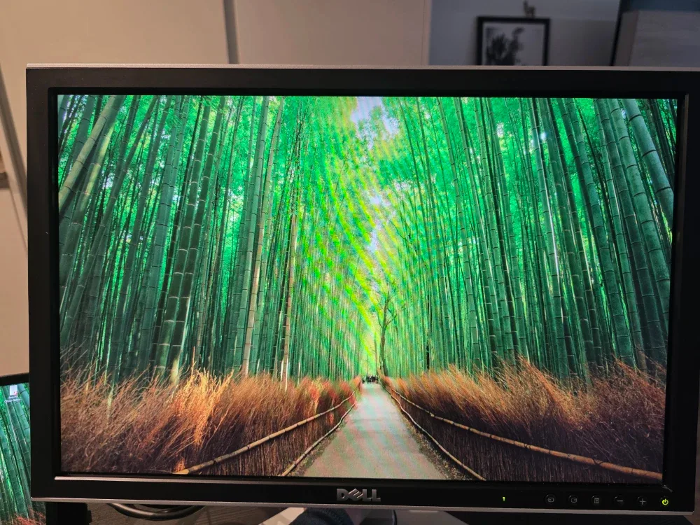 Dell Professional 22" LCD Monitor