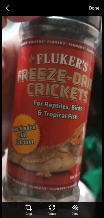 Fluker's Freeze-Dried Crickets for Reptiles, etc