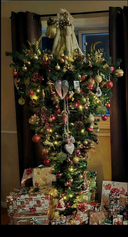 Upsidedown tree, (tree only) Make an offer!!🥕
