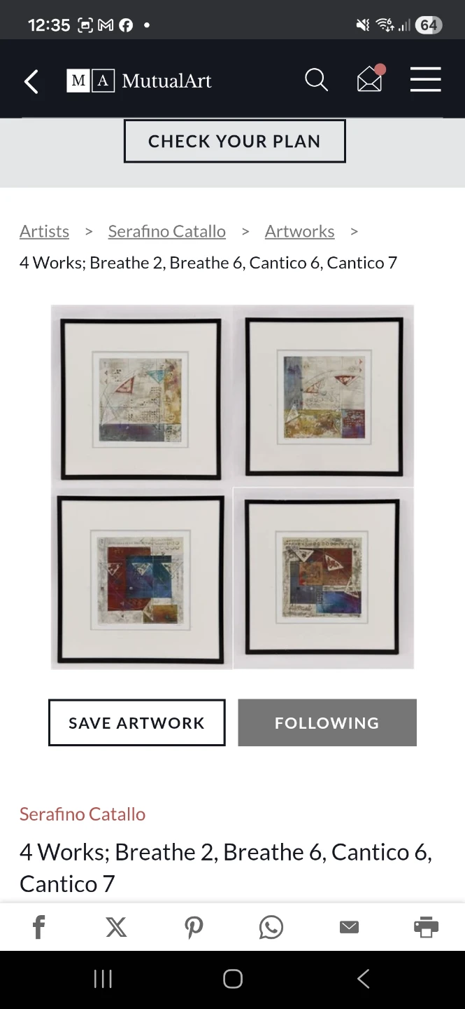 Large Framed Original Artwork. Serafino Catallo - photo 3