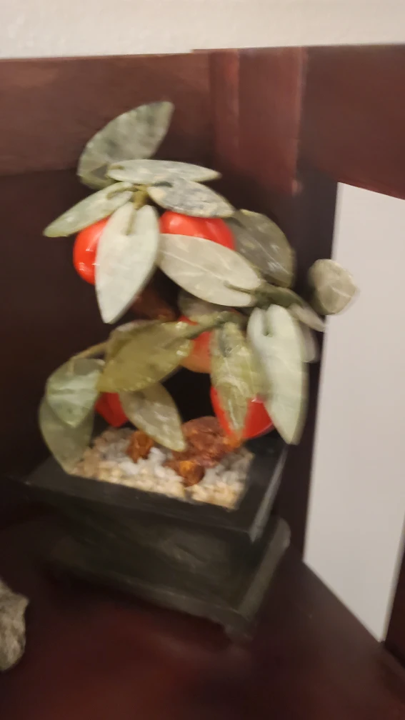 Decorative Jade Tree with orange fruit