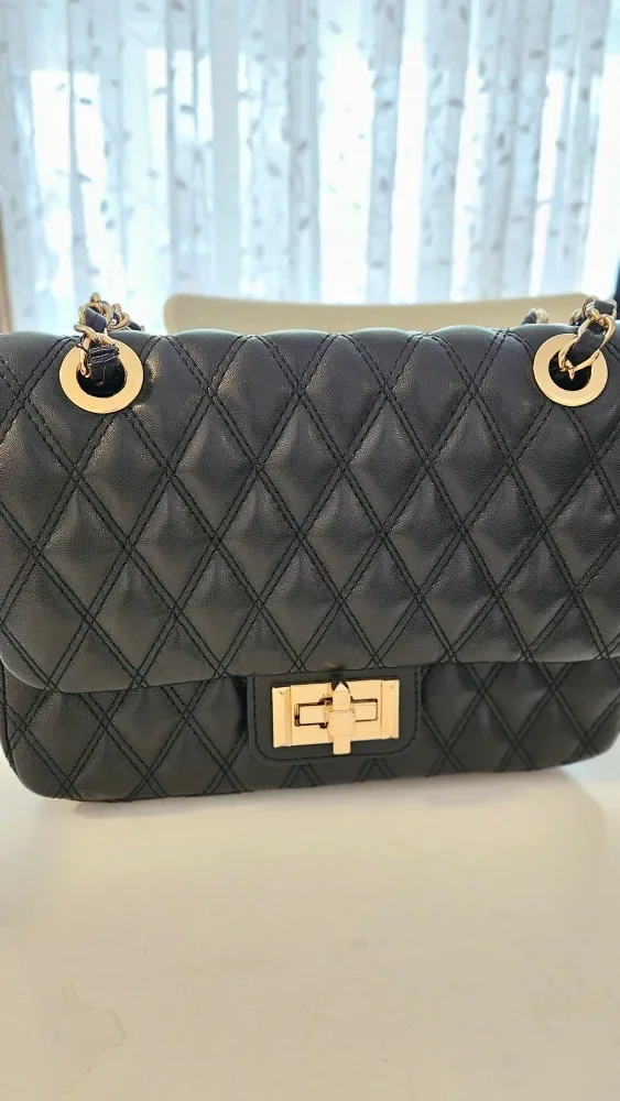 ALDO Black Quilted Shoulder Bag image indicator(3)