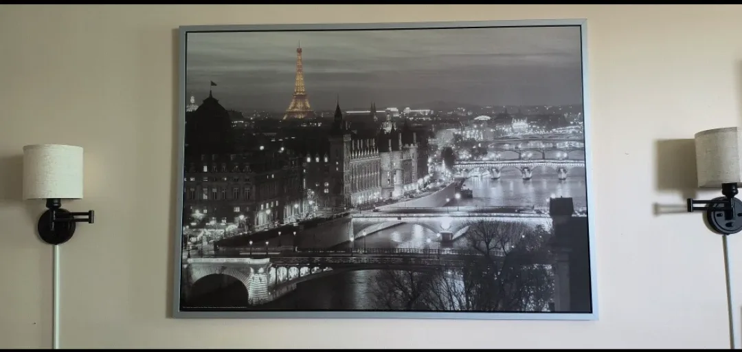 Framed Paris Cityscape Print