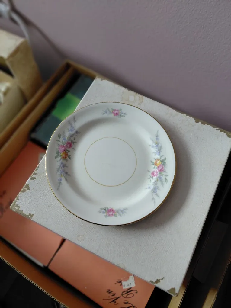 Eggshell Nautilus China set image indicator(2)
